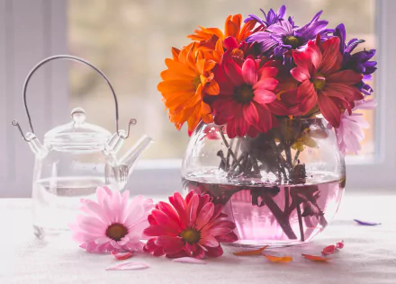 A vibrant bouquet of gerbera flowers in a glass vase beside a clear teapot, captured in a still life photography style, in stunning 4K Ultra HD resolution.