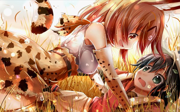 Anime Kemono Friends Serval Kaban HD Wallpaper | Background Image