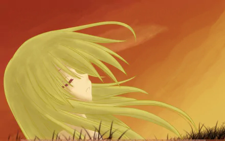 Anime Omamori Himari HD Desktop Wallpaper | Background Image
