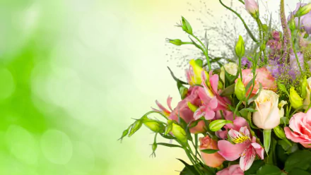  Roses and Eustoma Bouquet