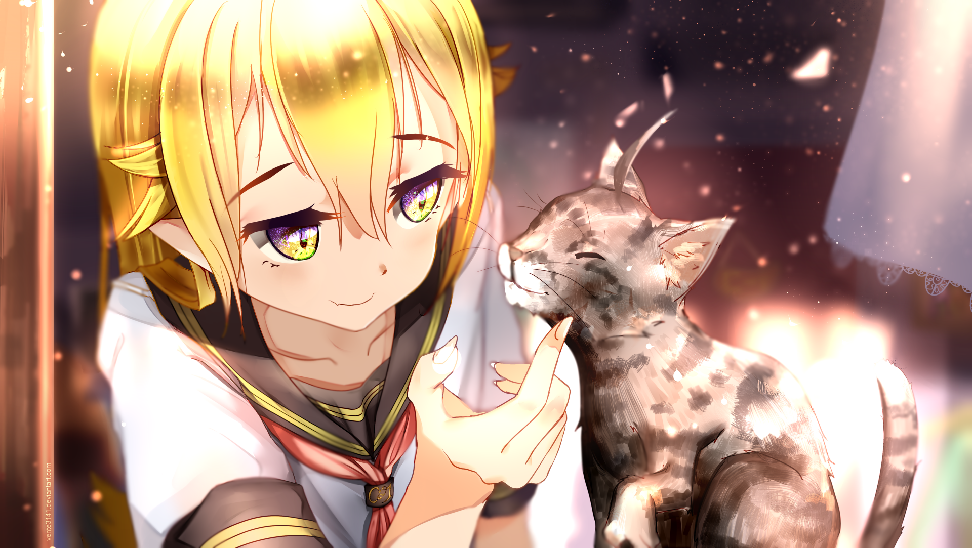 A vibrant HD desktop wallpaper featuring Shinobu Oshino from the Monogatari series, showcasing her playful interaction with a cat, surrounded by a warm, glowing atmosphere.
