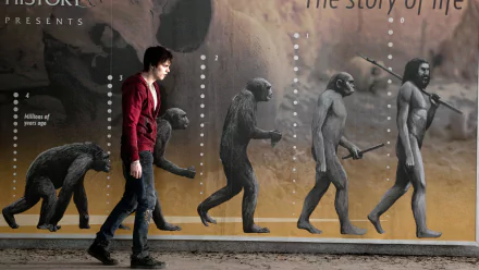 A scene from the movie Warm Bodies featuring Nicholas Hoult walking past an evolutionary mural, blending a modern figure with historical imagery. HD wallpaper for desktop use.