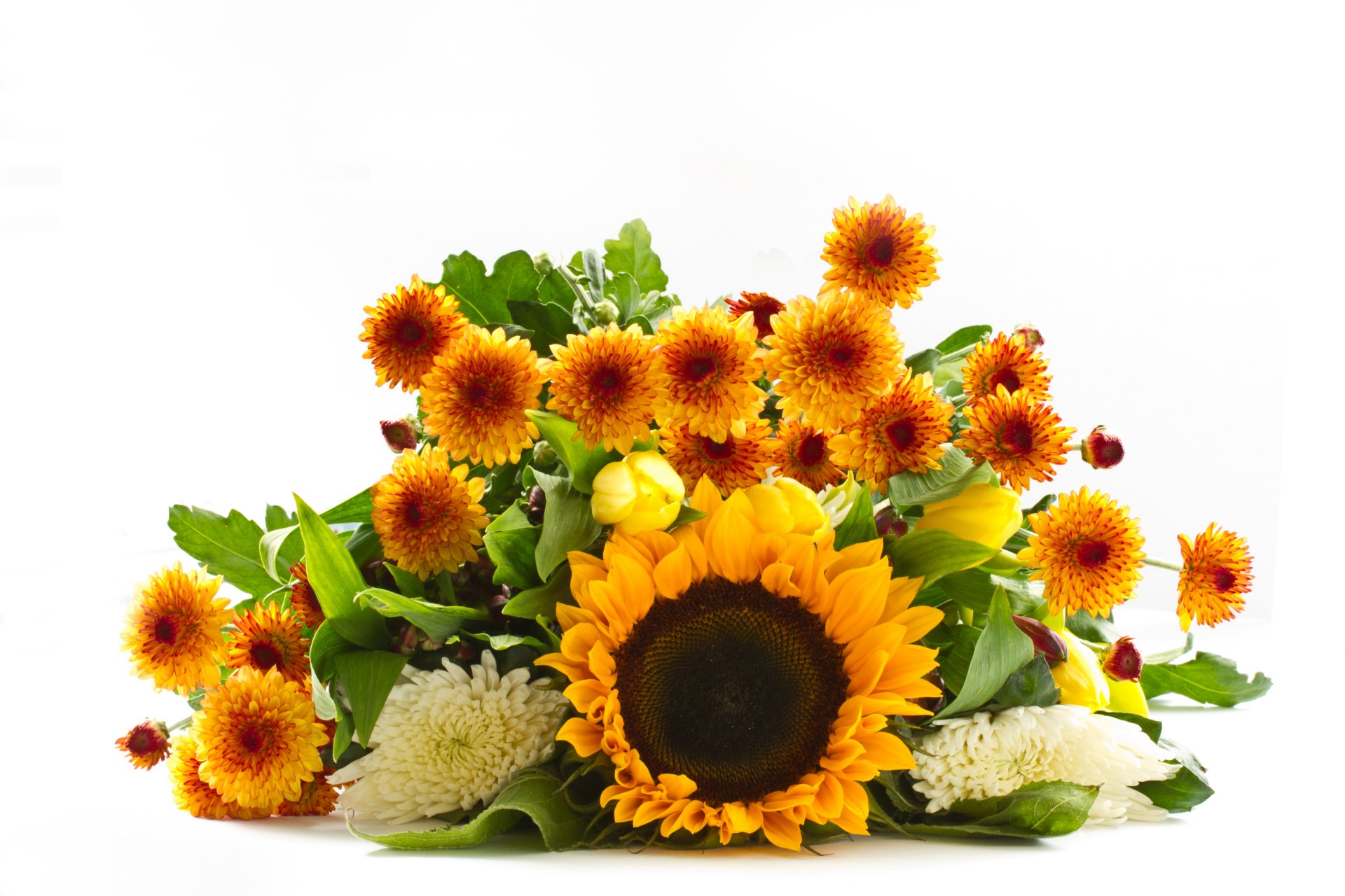 Download Yellow Flower Spring Dahlia Chrysanthemum Sunflower Man Made Flower 8k Ultra HD Wallpaper