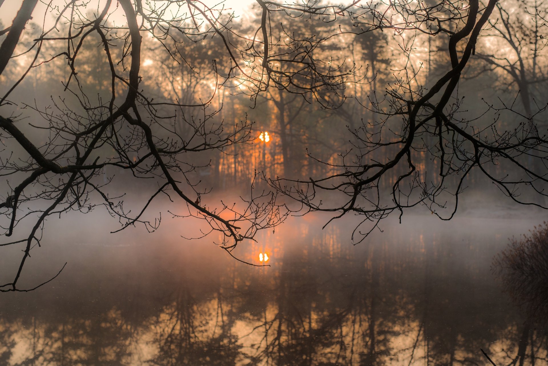 A serene 4K Ultra HD desktop wallpaper of a foggy lake at sunset, with tree branches framing the golden sun’s reflection on the still water in nature.