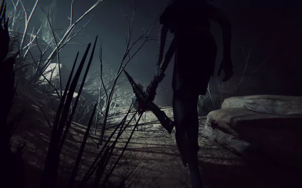 video game Outlast 2 HD Desktop Wallpaper | Background Image