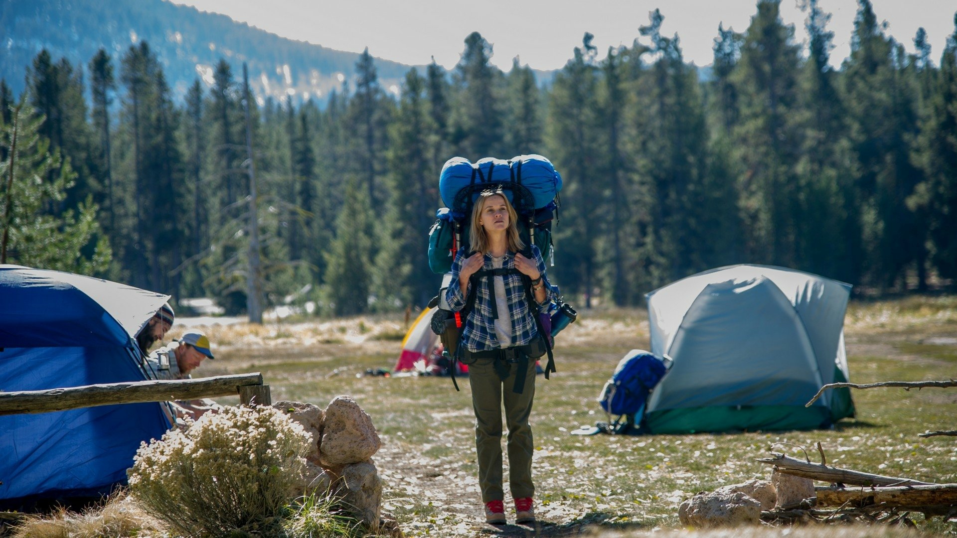 Download Reese Witherspoon Movie Wild HD Wallpaper