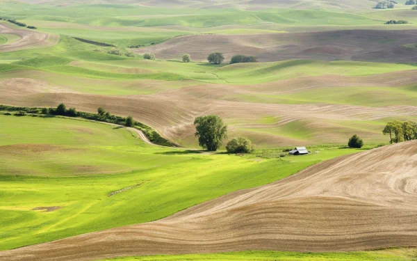A serene landscape featuring a small hut nestled in a vibrant green field, surrounded by rolling hills and nature's beauty, designed as a high-definition desktop wallpaper.