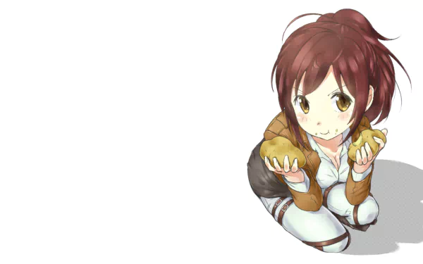 Sasha Blouse Anime Attack on Titan HD Desktop Wallpaper | Background Image