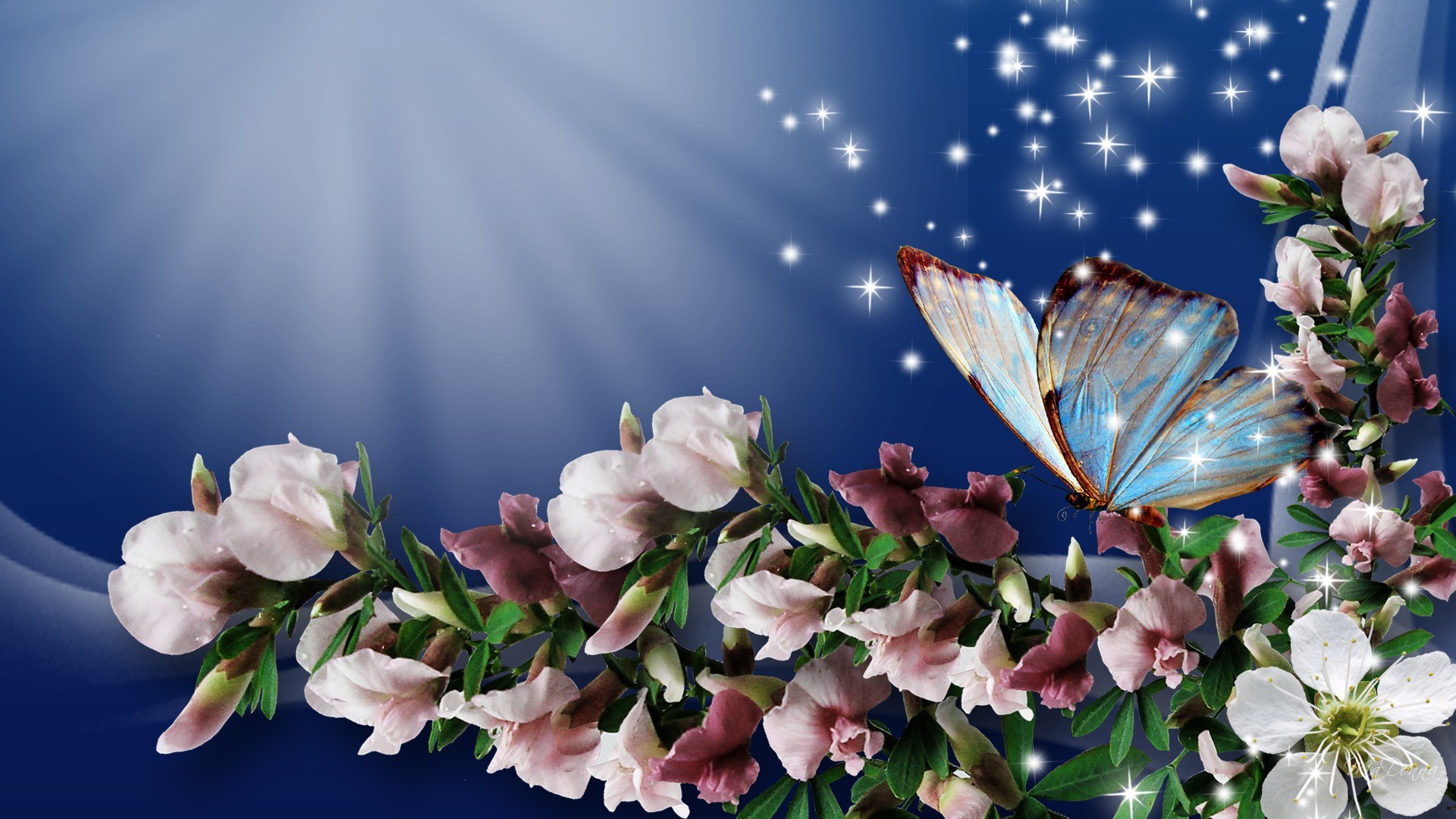 Spring Blossoms and Butterflyf by MaDonna