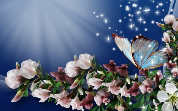 Artistic Spring Flower Blossom Sparkles Butterfly Pink Flower HD Wallpaper | Background Image