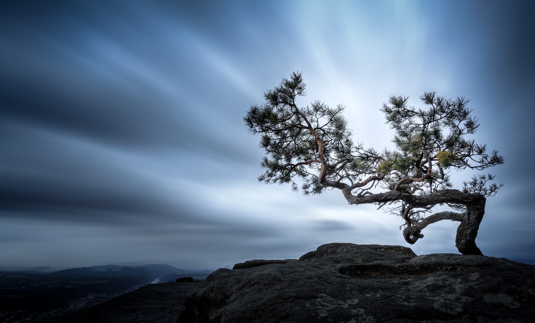 Download Tree Cloud Nature Landscape HD Wallpaper