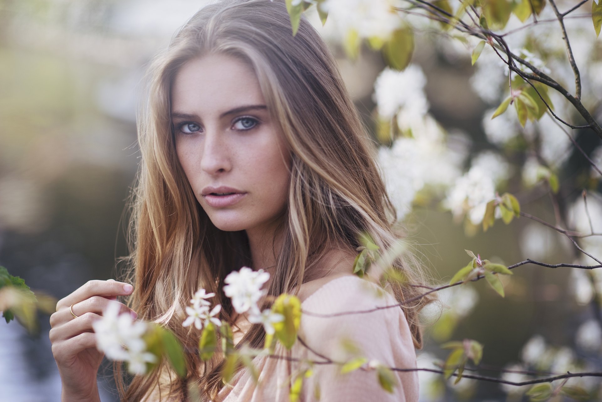 Download Blur Blossom Blue Eyes Blonde Woman Model 4k Ultra HD Wallpaper by Anastasia Vervueren
