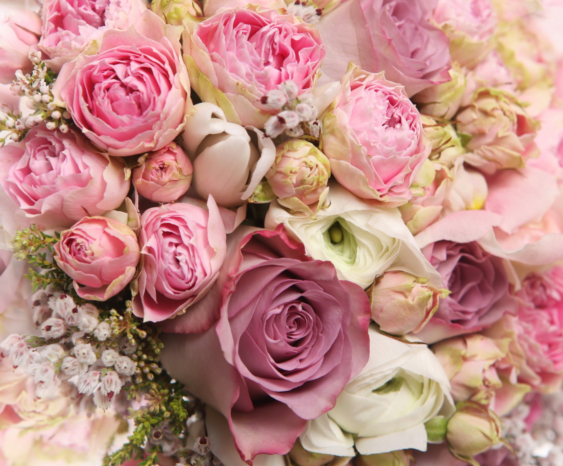 Pink and White Flowers