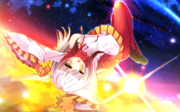 Anime Kemono Friends Crested Ibis HD Wallpaper | Background Image