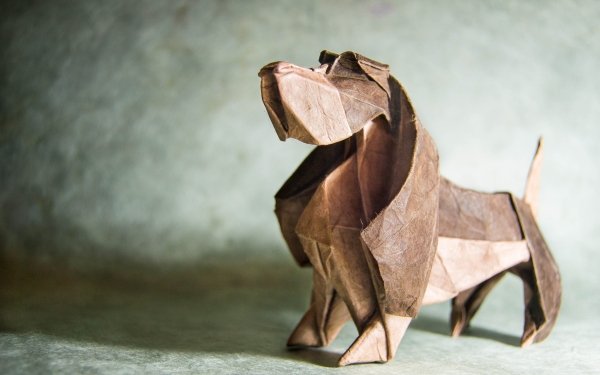 Man Made Origami Dog HD Wallpaper | Background Image