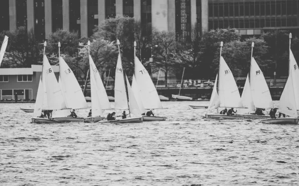 sailing Black & White vehicle sailboat HD Desktop Wallpaper | Background Image