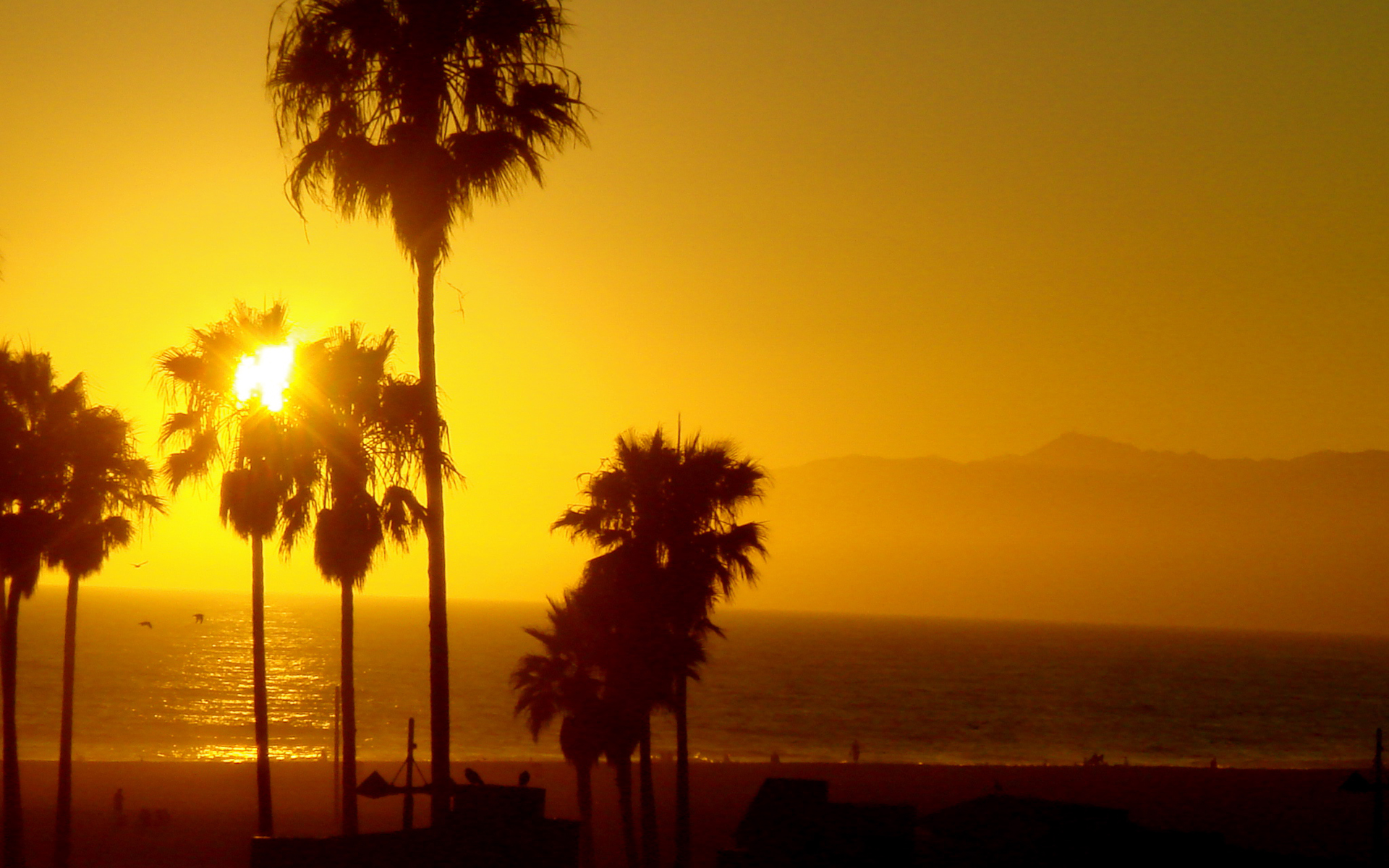 Yellow sun shining over a peaceful Earth, with a palm tree by the water.
