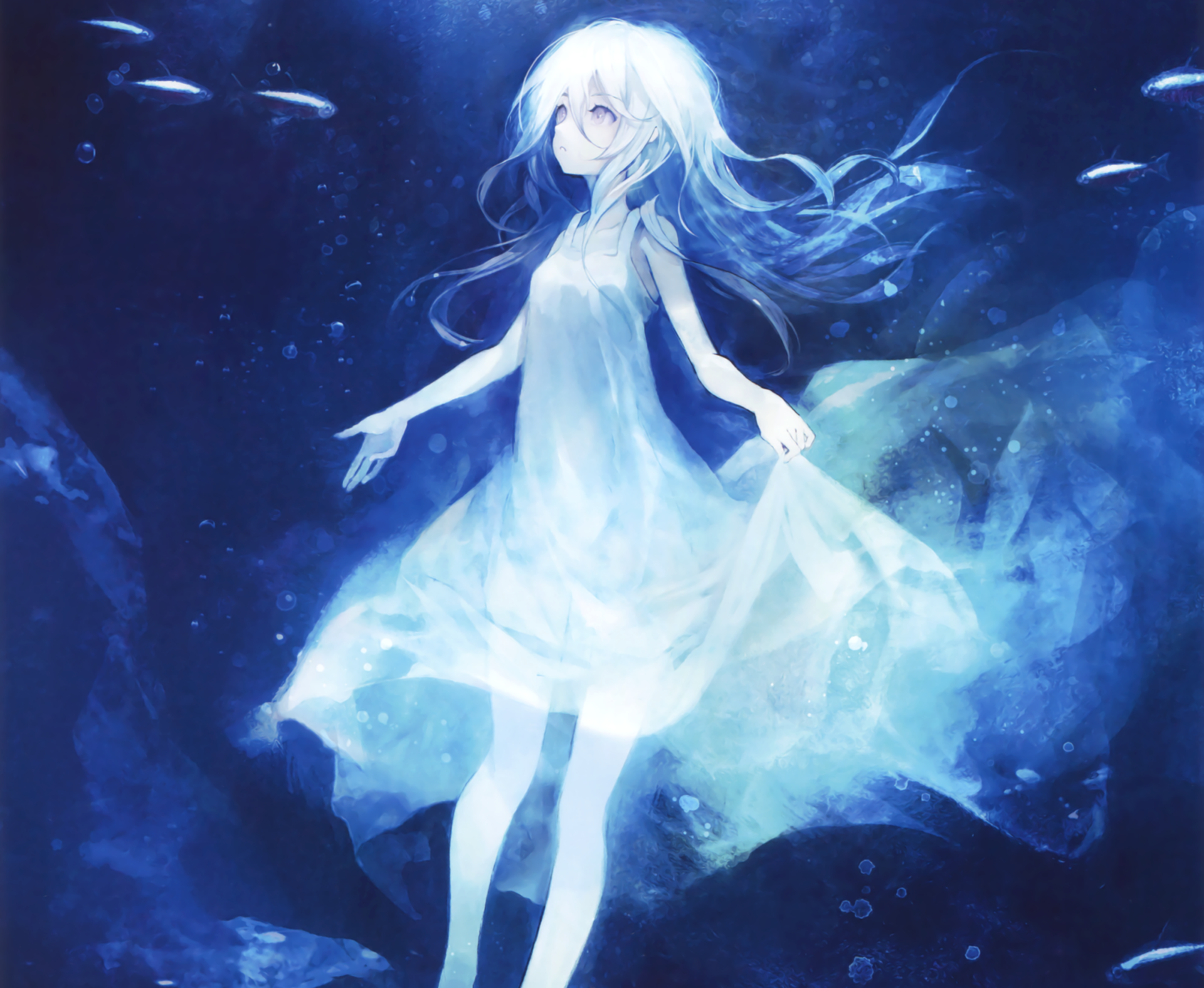 Download Grey Eyes Bubble Fish White Hair Long Hair Anime Original HD Wallpaper by banpai akira