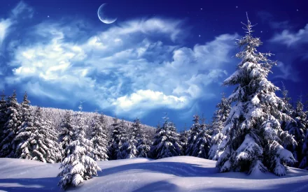 HD desktop wallpaper showing a serene winter night scene with snow-covered trees under a crescent moon and starry sky. The image captures the beauty of nature in winter.