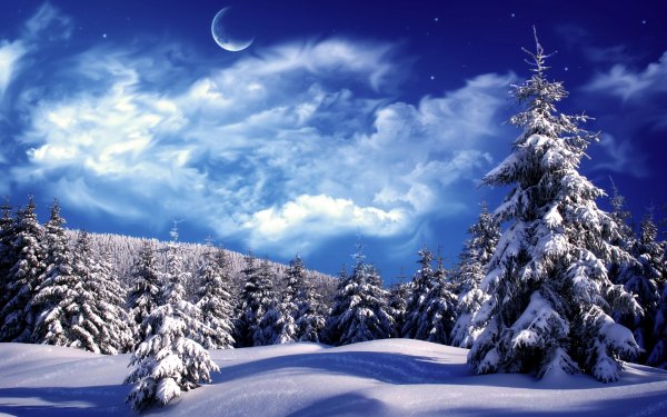 Earth Winter Snow HD Wallpaper | Background Image