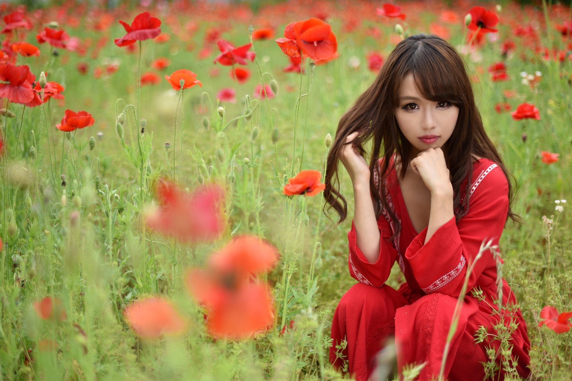 Download Red Flower Flower Poppy Summer Brown Eyes Brunette Model Woman Asian  HD Wallpaper by Akane