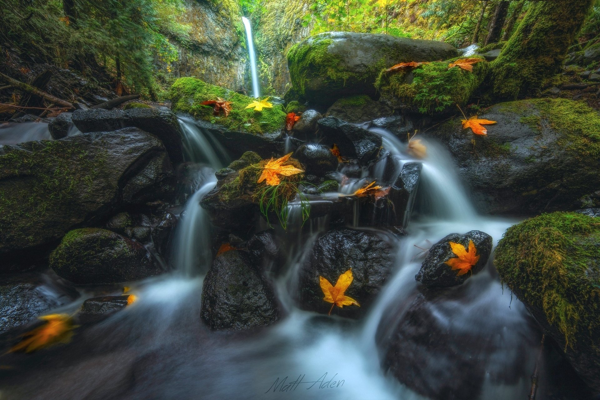 Download Oregon Leaf Fall Creek Lower Dry Creek Nature Waterfall HD Wallpaper by Matt Aden