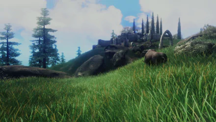 2K Quad HD PC wallpaper — video game The Elder Scrolls IV: Oblivion: sunlit grassy meadow with rocks, fir trees, a grazing boar and a distant hilltop castle under a bright blue sky.