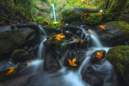 Oregon leaf fall creek Lower Dry Creek nature waterfall HD Desktop Wallpaper | Background Image