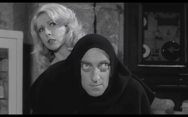 movie Young Frankenstein HD Desktop Wallpaper | Background Image