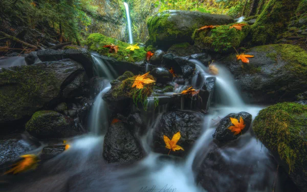 Oregon leaf fall creek Lower Dry Creek nature waterfall HD Desktop Wallpaper | Background Image