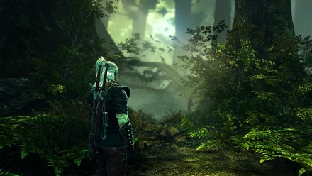 HD PC desktop wallpaper from The Witcher 2: Assassins of Kings video game, featuring a character standing in a dense, misty forest.