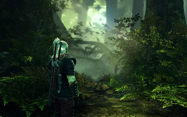 HD PC desktop wallpaper from The Witcher 2: Assassins of Kings video game, featuring a character standing in a dense, misty forest.