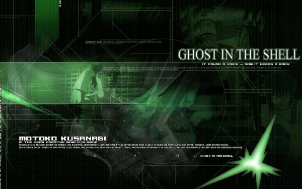 Anime Ghost In The Shell Ghost in the Shell HD Wallpaper | Background Image