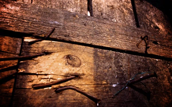 Close-up of a man-made weathered wooden fence with bent nails and rich grain textures, warm lighting — 2K Quad HD PC desktop wallpaper and background.