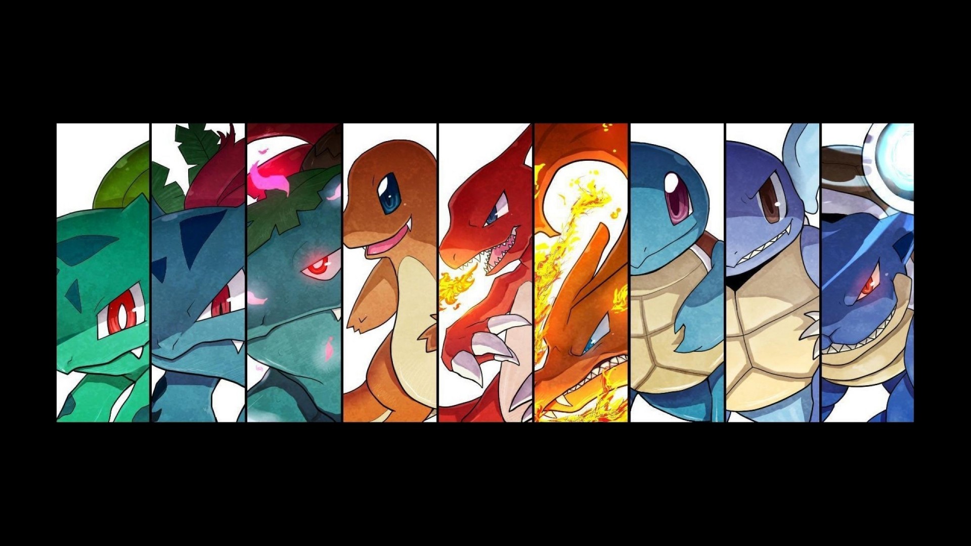 Pokemon Wartortle, blue, dragon, anime, supreme, evulation squartle, HD  phone wallpaper