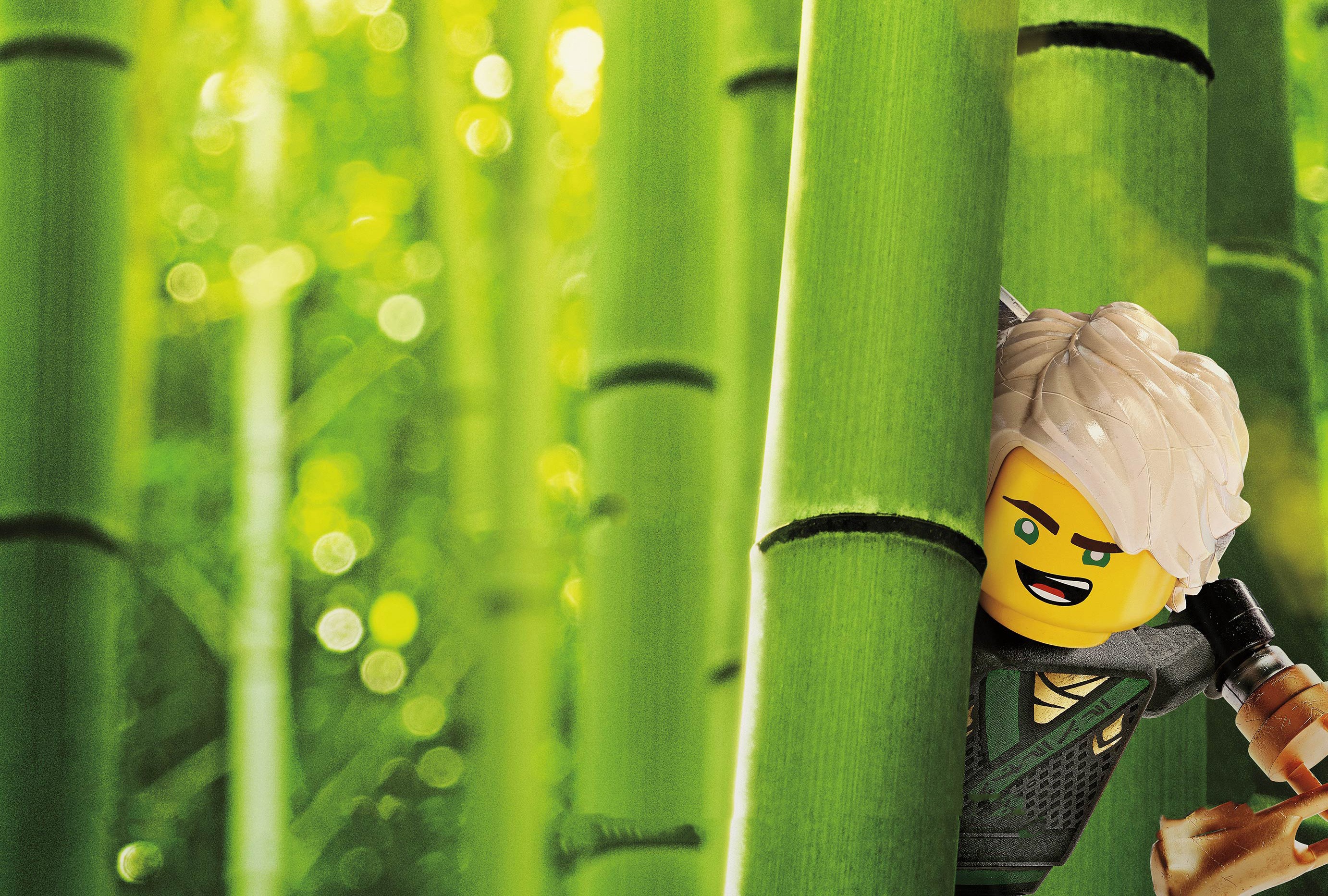 Movie The Lego Ninjago Movie HD Wallpaper | Background Image