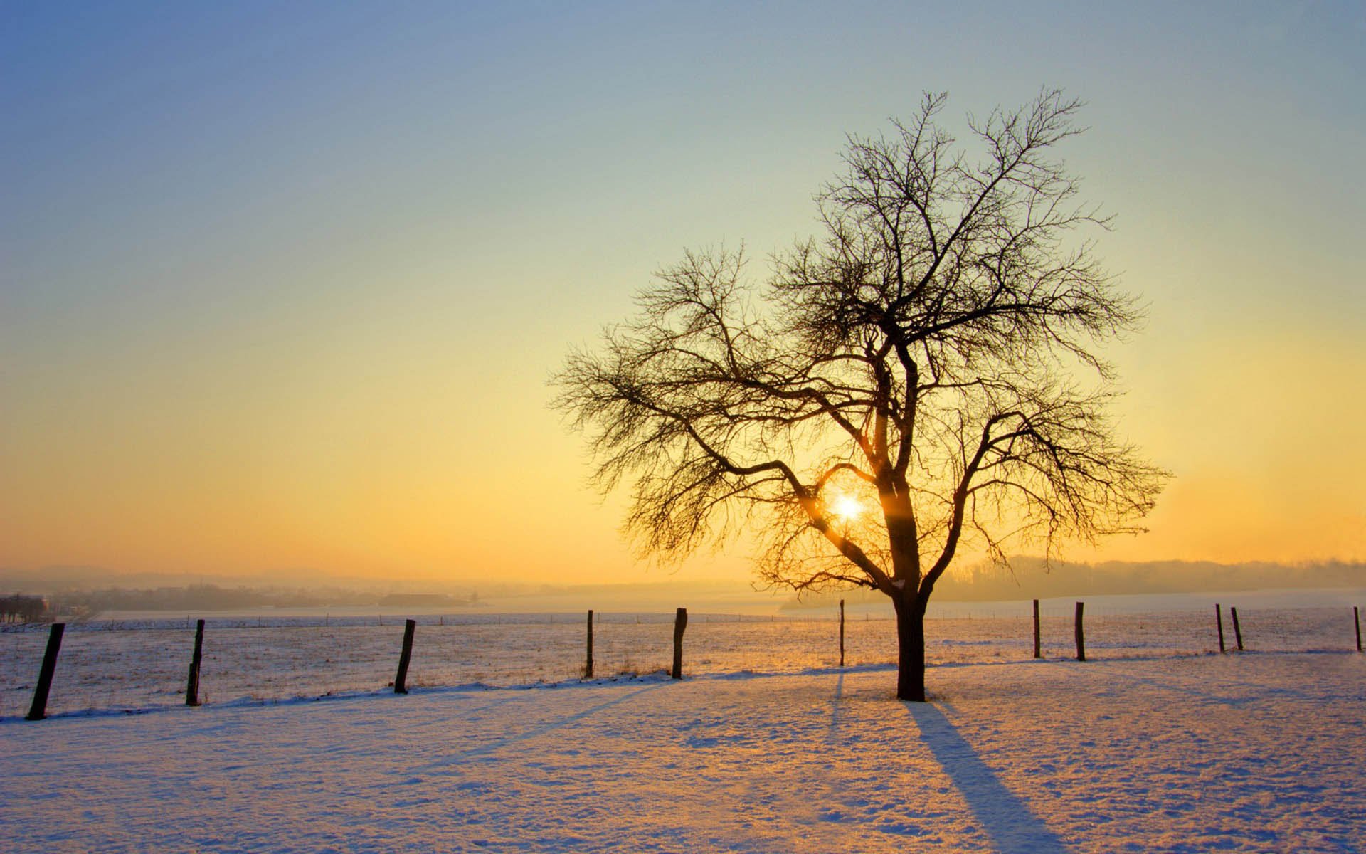 HD desktop wallpaper of a winter landscape with a lone tree silhouetted against the sun, casting long shadows over snow-covered ground in a serene natural setting.