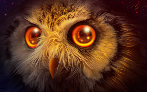 orange eyes owl fantasy bird HD Desktop Wallpaper | Background Image