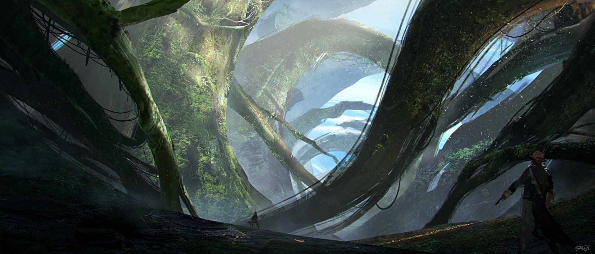 A lone adventurer stands amid towering, ancient trees in a vast fantasy landscape, captured in an HD nature scene for a PC desktop wallpaper.