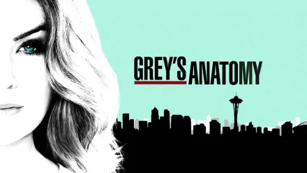 TV Show Grey's Anatomy HD Desktop Wallpaper | Background Image