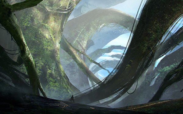 Fantasy Landscape Tree Nature Adventurer HD Wallpaper | Background Image