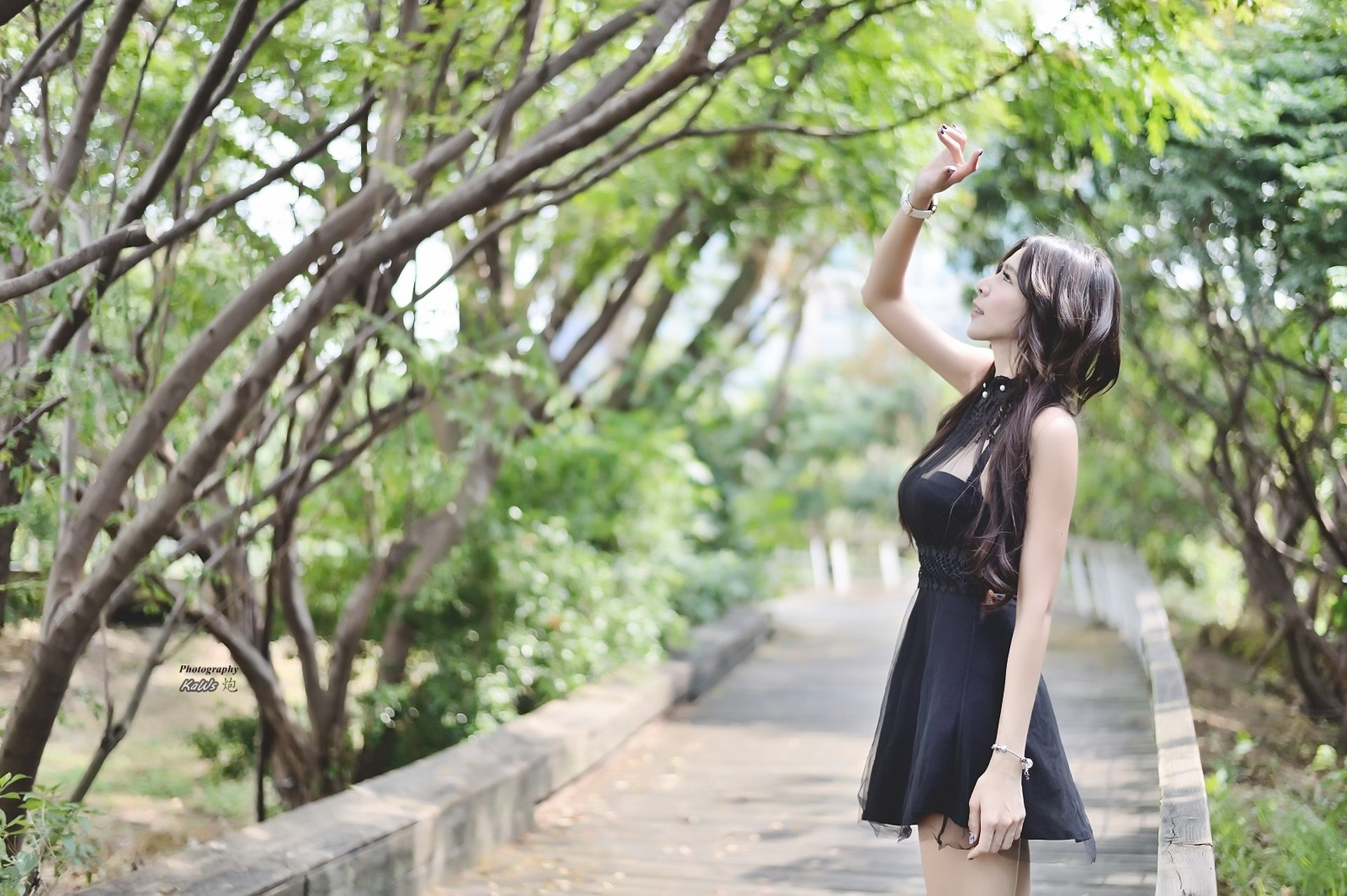 Download Black Dress Bokeh Depth Of Field Long Hair Brunette Model Woman Asian  HD Wallpaper