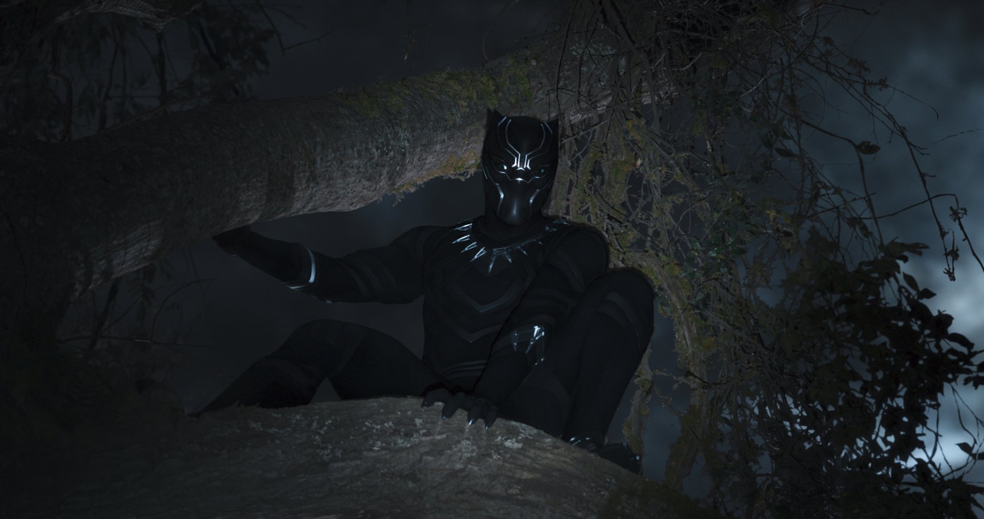 HD desktop wallpaper featuring Black Panther from Marvel Comics, crouching on a tree branch at night, surrounded by a dark and misty forest background.