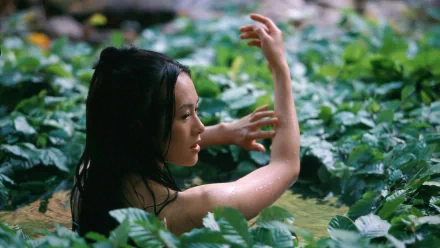 HD desktop wallpaper from the movie House of Flying Daggers featuring a woman partially submerged among lush green leaves.