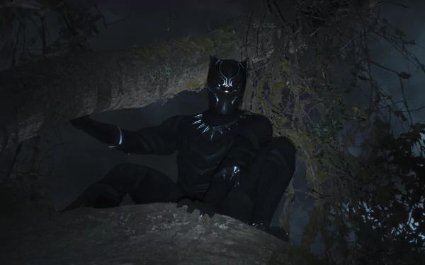 HD desktop wallpaper featuring Black Panther from Marvel Comics, crouching on a tree branch at night, surrounded by a dark and misty forest background.