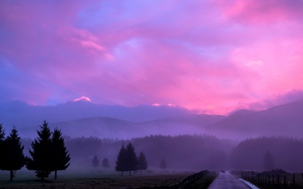 Photography Sunset Sky Pink Cloud Fog Tree Road HD Wallpaper | Background Image