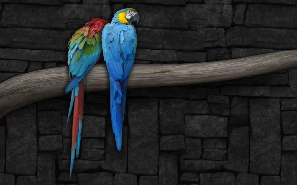 A striking HD wallpaper featuring a red-and-green macaw and a blue-and-yellow macaw perched on a branch against a textured dark stone background.