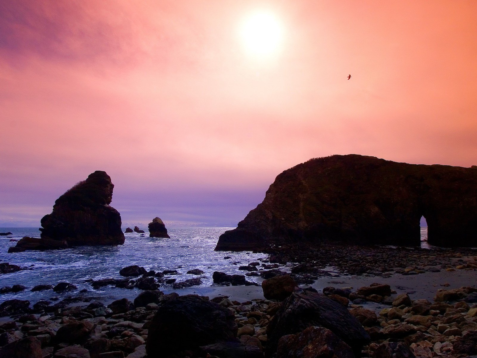 A serene sunrise illuminates a rocky coastline, with a lone bird soaring above the tranquil sea, capturing the beauty of nature in this stunning HD wallpaper.