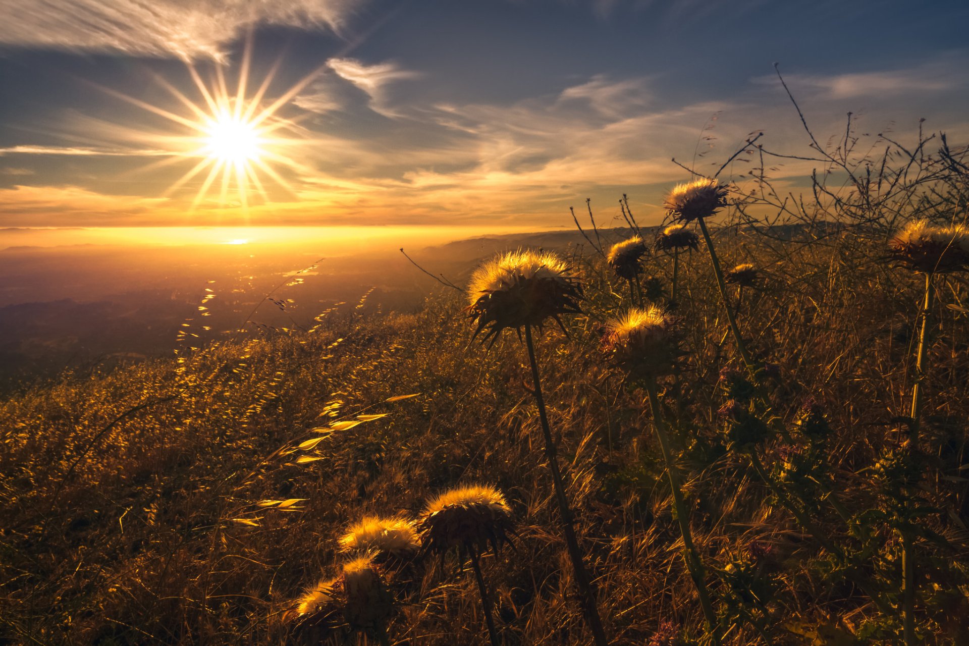 Download Sky Plant Landscape Sunbeam Sun Nature Sunset HD Wallpaper