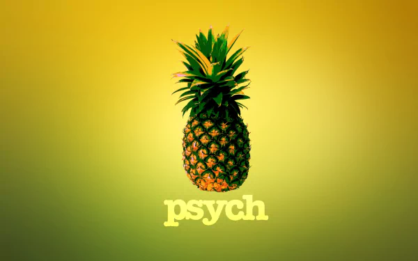 TV Show Psych HD Desktop Wallpaper | Background Image